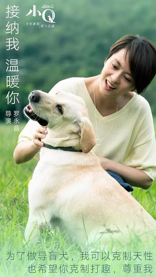 购买仿真学前教育机构做学许可证